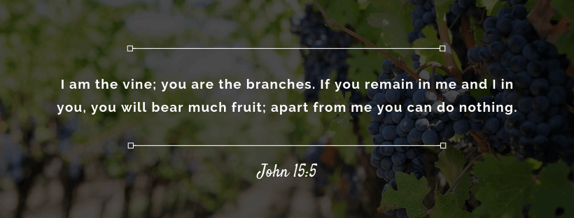 John 15:5