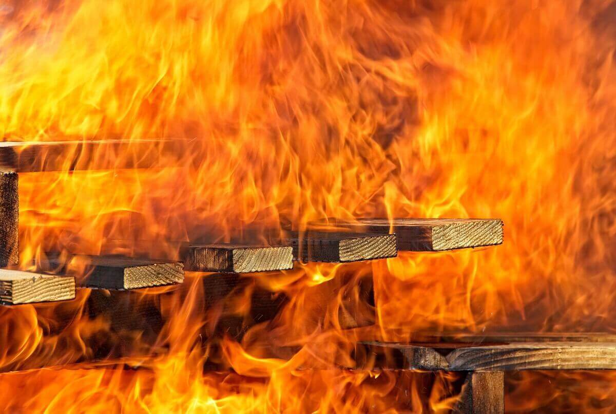 Wood on fire