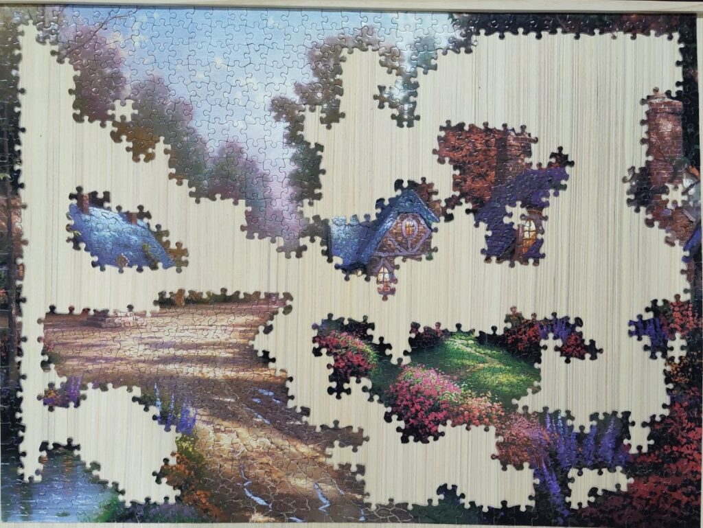 The Puzzle Picture of Life