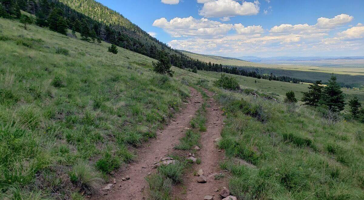 Trail along hillside