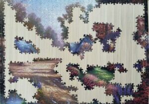 The Puzzle Picture of Life