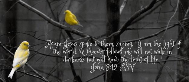 Yellow Birds in Trees